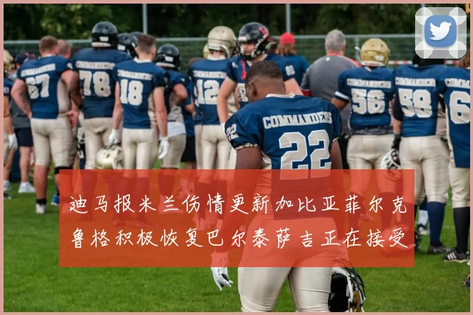 迪马报米兰伤情更新加比亚菲尔克鲁格积极恢复巴尔泰萨吉正在接受评估