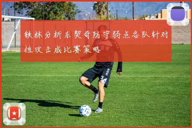 铁林分析东契奇防守弱点各队针对性攻击成比赛策略