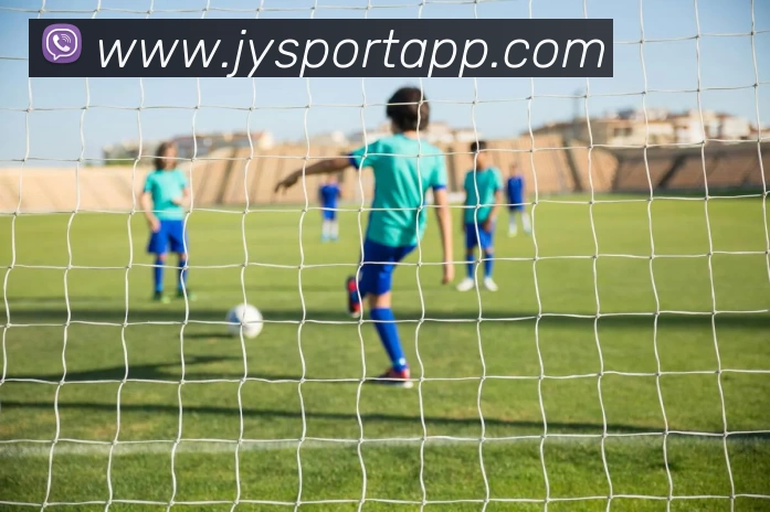 九游体育APP平台生态图